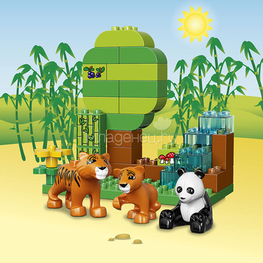 Конструктор LEGO Duplo 10805 Вокруг света В мире животных 7