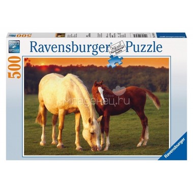 Пазл Ravensburger 500 элементов Красивые лошади 1