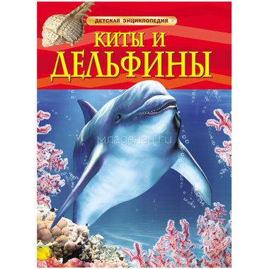 Детская энциклопедия РОСМЭН Киты и дельфины 0