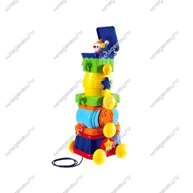 Развивающая игрушка Chicco Пирамидка Цирковая с 12 мес. 0