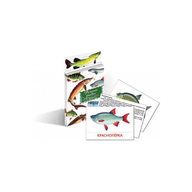 Дидактические карточки Маленький гений Речные рыбы 0