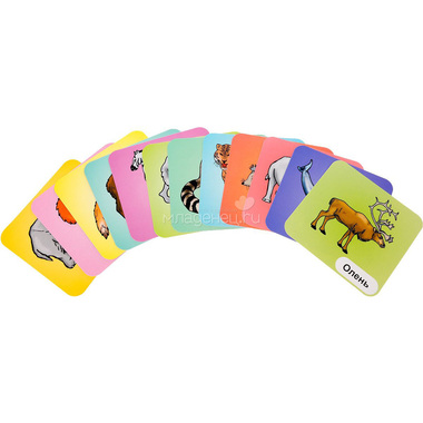 Набор развивающих карточек Учитель Млекопитающие 1