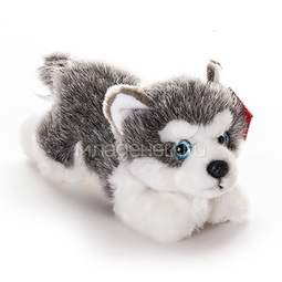 Мягкая игрушка AURORA Собаки Лайка щенок 22 см