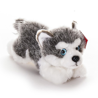 Мягкая игрушка AURORA Собаки Лайка щенок 22 см 0