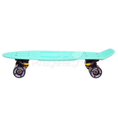 Скейтборд Y-SCOO Skateboard Fishbone с ручкой 22" винил 56,6х15 с сумкой Aqua/Black 2
