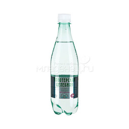 Вода минеральная Новотерская (пластик) Газированная 0,5 л (пластик)