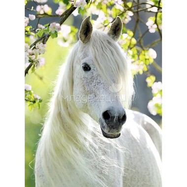Пазл Ravensburger 500 элементов Грациозная белая лошадь 0