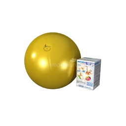Мяч Альпина Пласт гимнастический Фитбол Премиум с DVD 65 см (цвет в ассортименте)