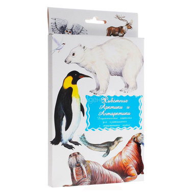 Дидактические карточки Маленький гений Животные Арктики и Антарктики 0
