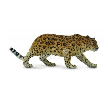 Фигурка Collecta Амурский леопард 0