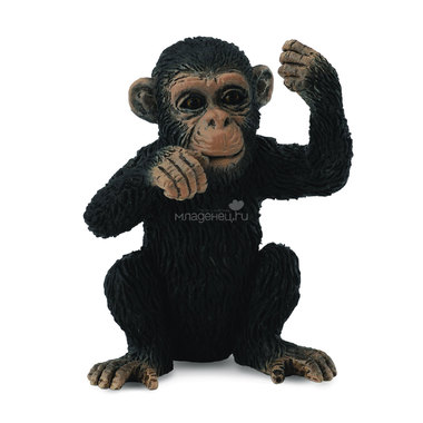 Фигурка Collecta Детеныш шимпанзе 0