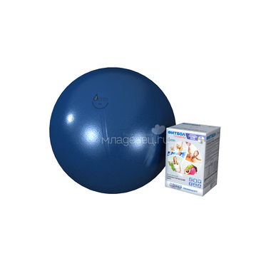 Мяч Альпина Пласт гимнастический Фитбол Премиум с DVD 65 см (цвет в ассортименте) 4
