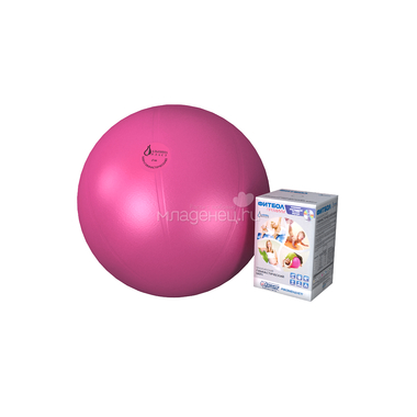 Мяч Альпина Пласт гимнастический Фитбол Премиум с DVD 65 см (цвет в ассортименте) 2