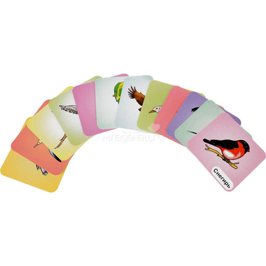 Набор развивающих карточек Учитель Птицы 1