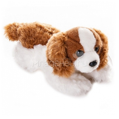 Мягкая игрушка AURORA Собаки Королевский Кокер-спаниель щенок 22 см 0