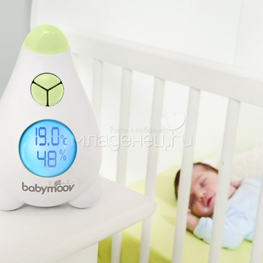 Термометр-гигрометр  Babymoov Для комнаты 1