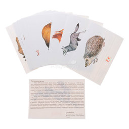 Дидактические карточки Маленький гений Животные наших лесов