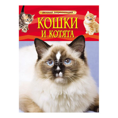 Детская энциклопедия РОСМЭН Кошки и котята 0