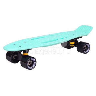 Скейтборд Y-SCOO Skateboard Fishbone с ручкой 22" винил 56,6х15 с сумкой Aqua/Black 1