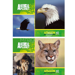Альбом для рисования ACTION! ANIMAL PLANET 40 листов на гребне 2 дизайна