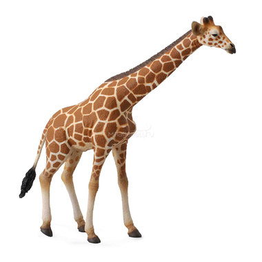 Фигурка Collecta Сетчатый жираф 0