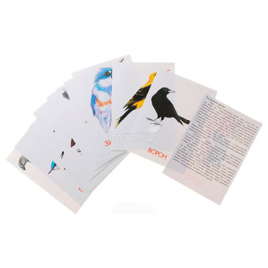 Дидактические карточки Маленький гений Птицы наших лесов 1