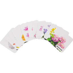 Набор развивающих карточек Учитель Однолетние садовые цветы