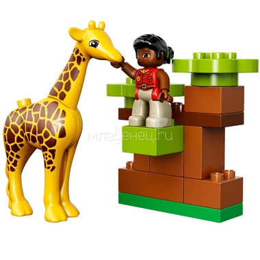 Конструктор LEGO Duplo 10802 Вокруг света: Африка 1