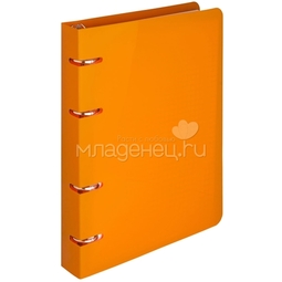 Тетрадь на кольцах INDEX 80 листов COLOURPLAY, А5, оранжевая, пластик