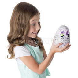 Игрушка Hatchimals интерактивный питомец вылупляющийся из яйца Дракоша