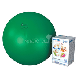 Мяч Альпина Пласт гимнастический Фитбол Стандарт 45 см (цвет в ассортименте)