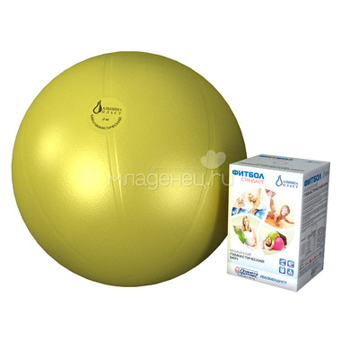 Мяч Альпина Пласт гимнастический Фитбол Стандарт 45 см (цвет в ассортименте) 3
