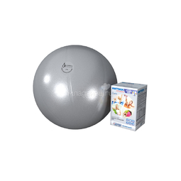 Мяч Альпина Пласт гимнастический Фитбол Премиум с DVD 65 см (цвет в ассортименте)