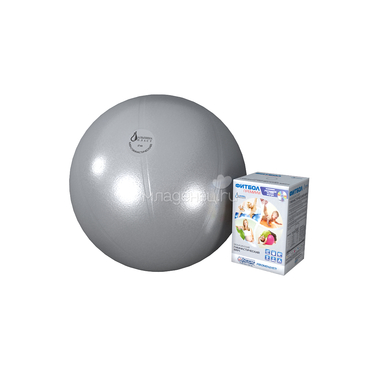 Мяч Альпина Пласт гимнастический Фитбол Премиум с DVD 65 см (цвет в ассортименте) 0