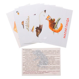 Дидактические карточки Маленький гений Животные Азии