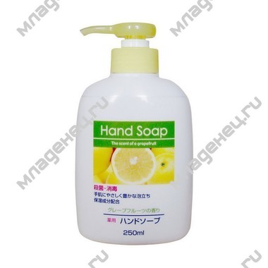Мыло жидкое Daiichi Hand Soap (увлажняющее) 250 мл 0
