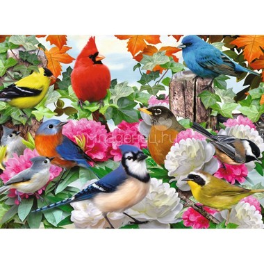 Пазл Ravensburger 500 элементов Птички в саду 0
