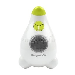 Термометр-гигрометр  Babymoov Для комнаты