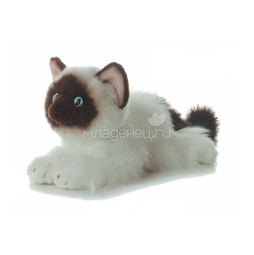 Мягкая игрушка AURORA Кошки Кошка сиамская 30 см