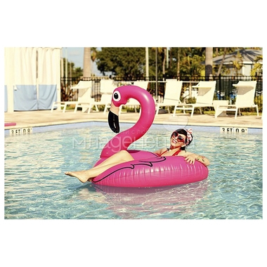Круг Swim Ring для плавания Розовый Фламинго 120 см 1