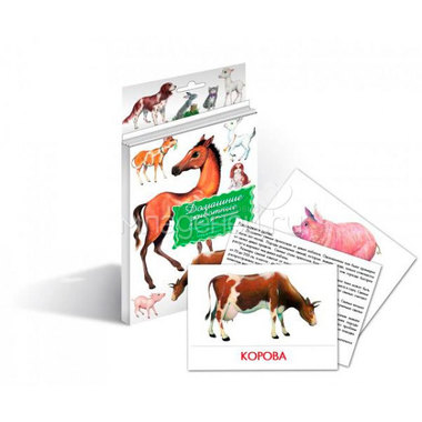 Дидактические карточки Маленький гений Домашние животные 0