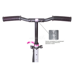 Самокат Y-SCOO RT 145 City Hong Kong Family design Butterfly Pink